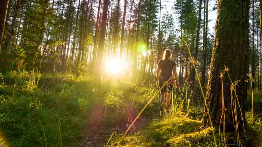 Woman walking through woods with sun peaking through trees.